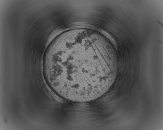 X0000096951431200802291046