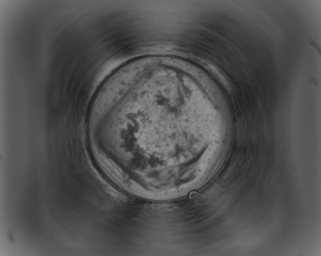 X0000096951432200802291046