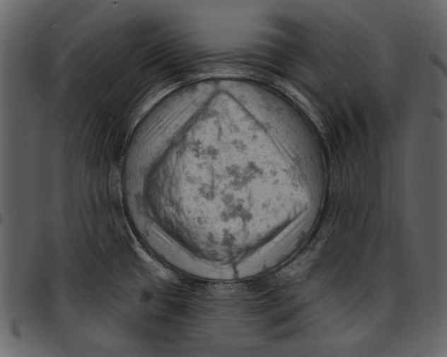 X0000096951433200802291046