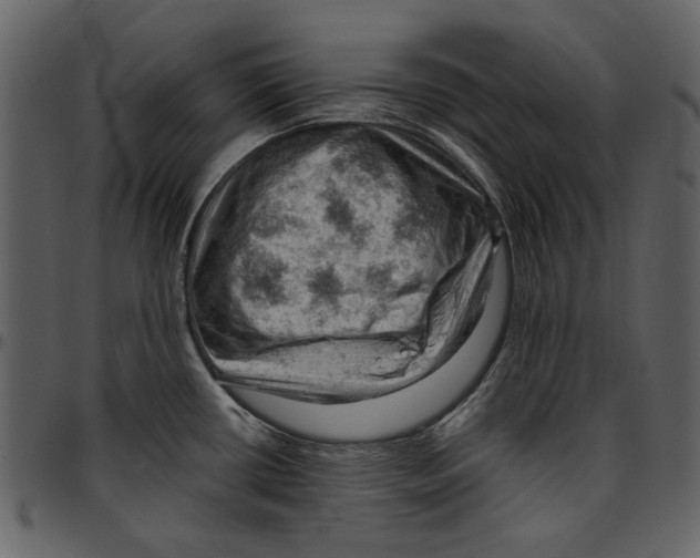 X0000096951434200802291046