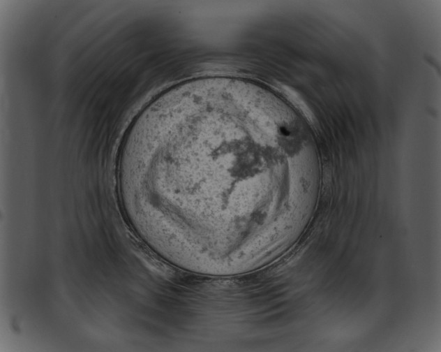 X0000096951435200802291046