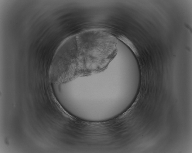 X0000096951436200802291046