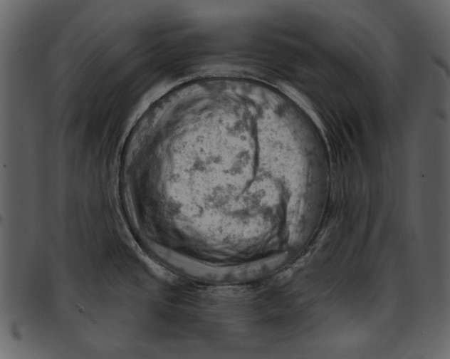 X0000096951437200802291046