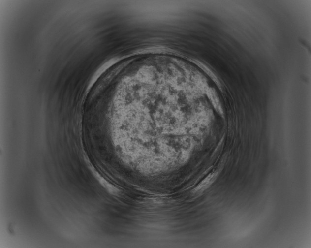 X0000096951438200802291046