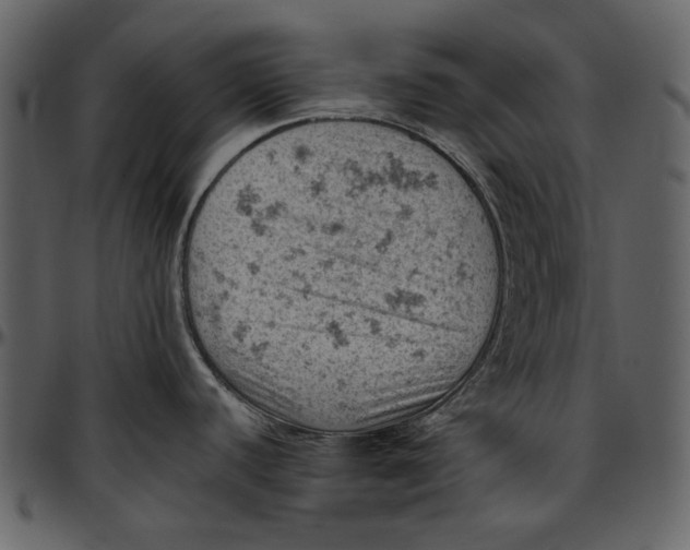 X0000096951440200802291046