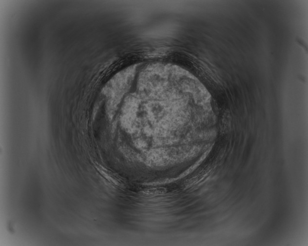 X0000096951441200802291045