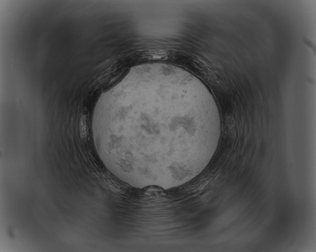 X0000096951442200802291045