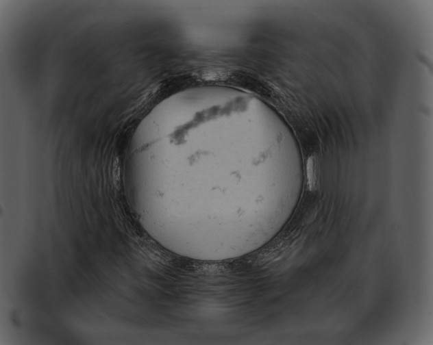 X0000096951443200802291045