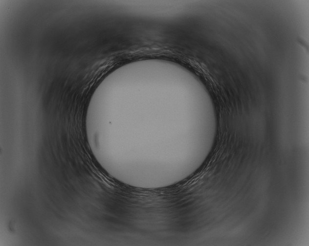 X0000096951444200802291045