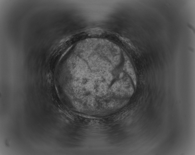 X0000096951445200802291045