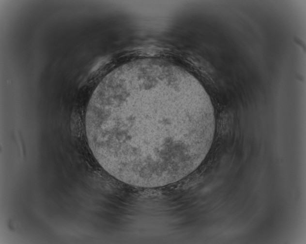 X0000096951446200802291045