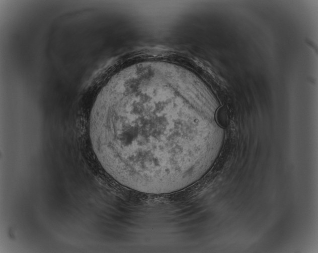 X0000096951447200802291045