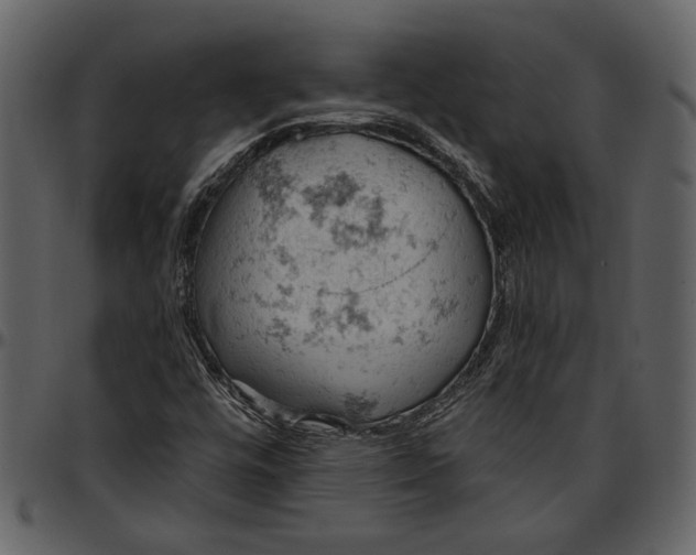 X0000096951448200802291045