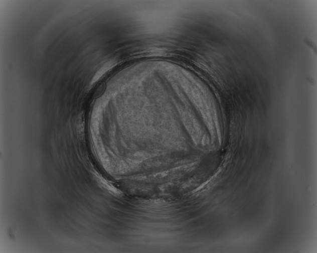 X0000096951450200802291045