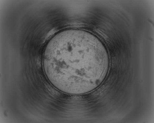 X0000096951451200802291045