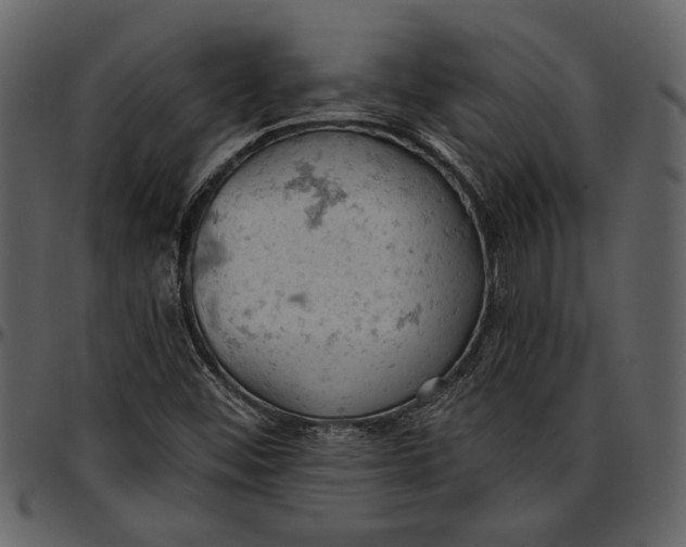 X0000096951452200802291045