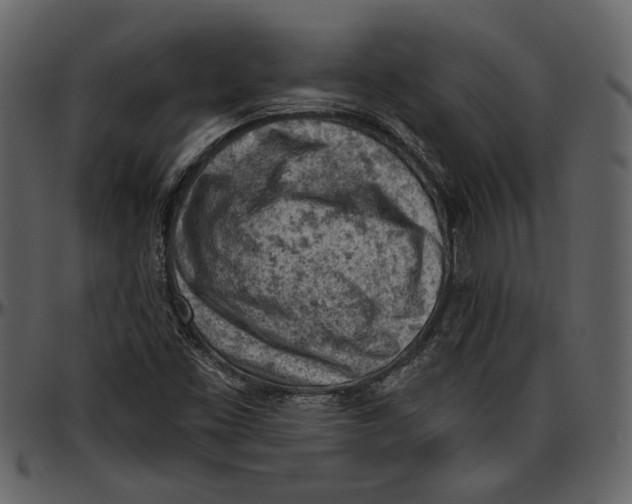 X0000096951453200802291045