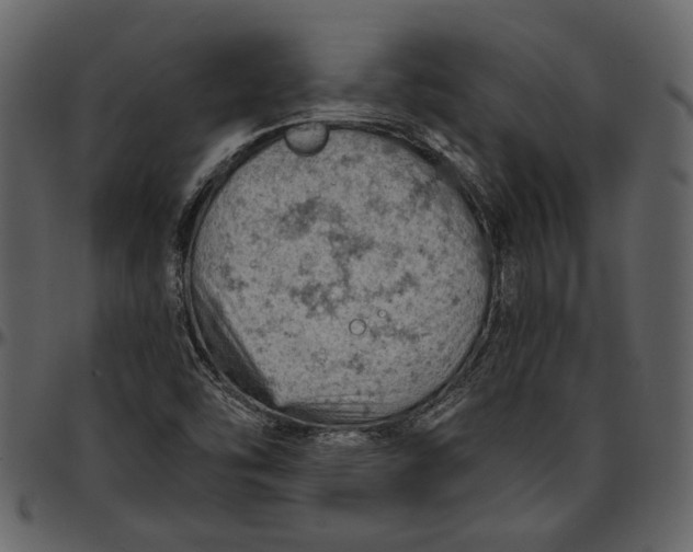 X0000096951454200802291045