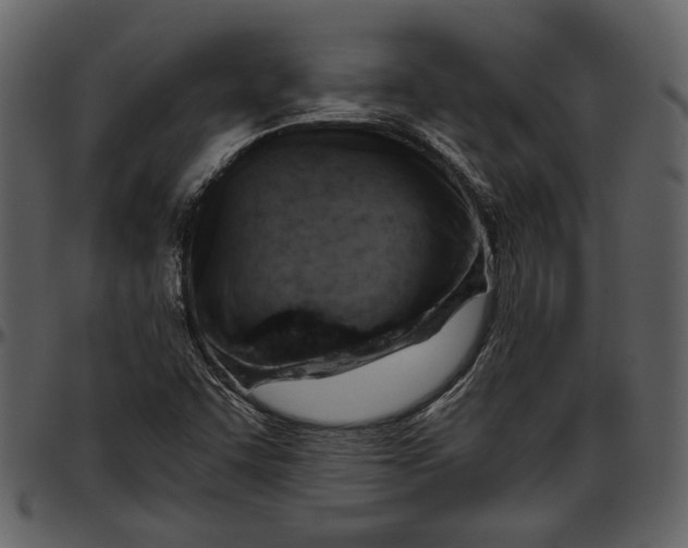 X0000096951455200802291045