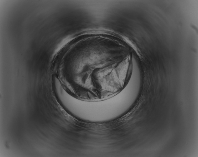 X0000096951456200802291045