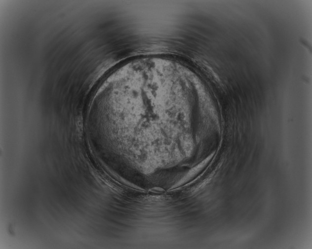 X0000096951457200802291045