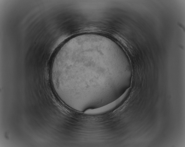 X0000096951458200802291045