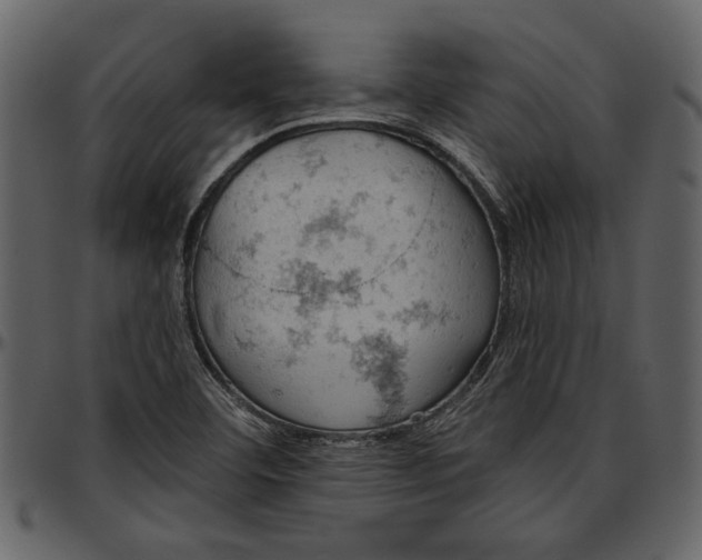 X0000096951460200802291045