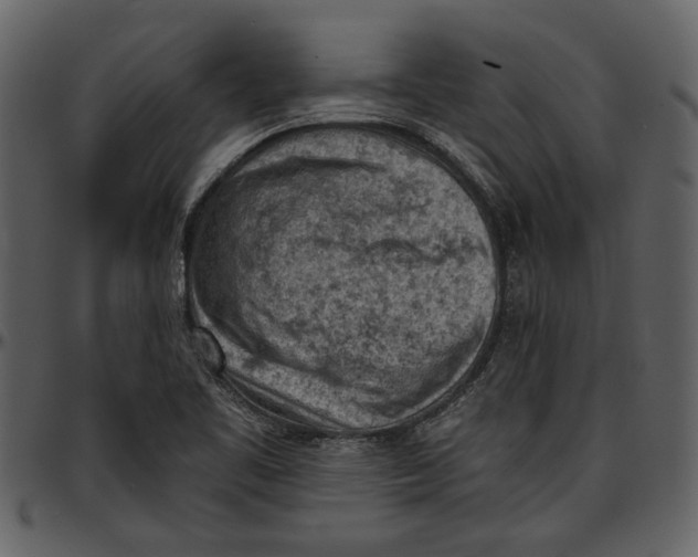 X0000096951461200802291045