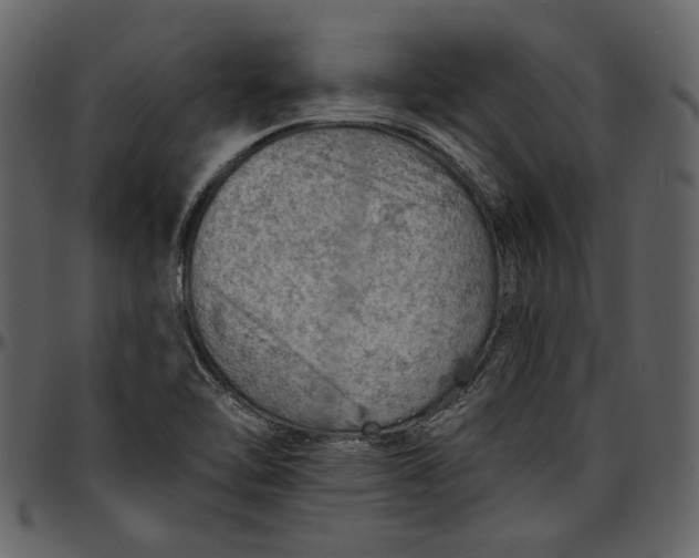 X0000096951462200802291045