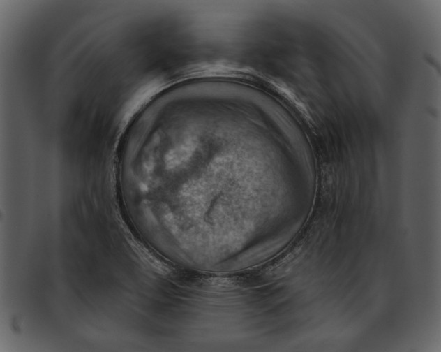 X0000096951463200802291045