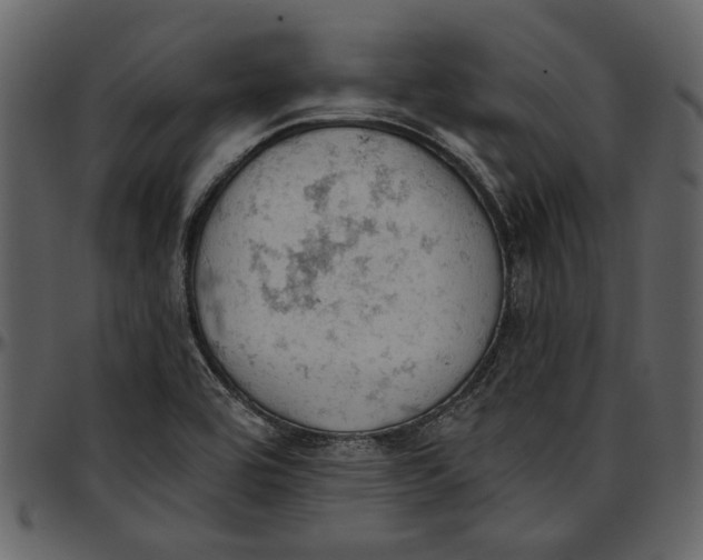 X0000096951464200802291045