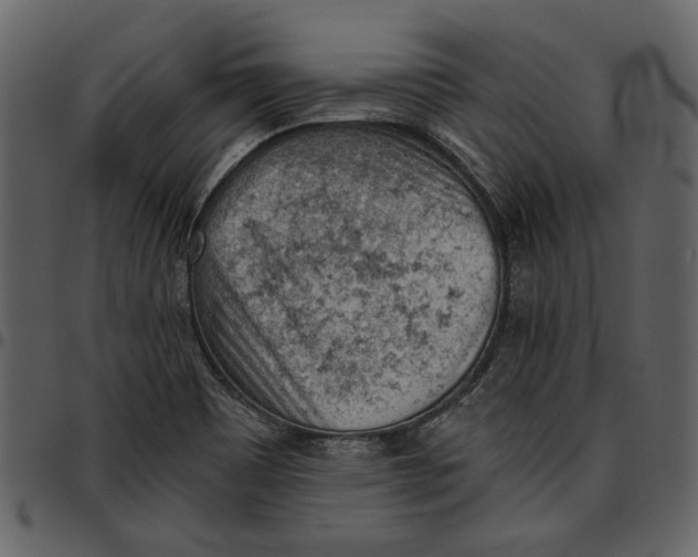 X0000096951465200802291045