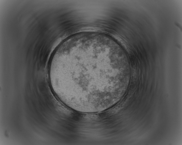 X0000096951466200802291045