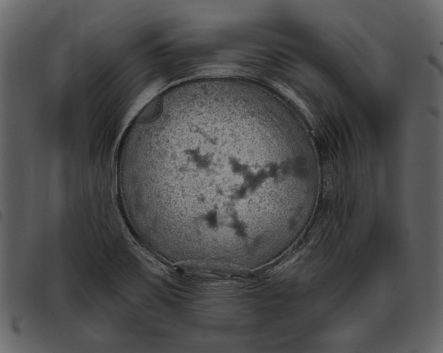 X0000096951467200802291045