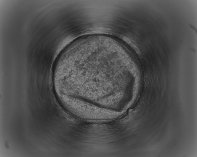 X0000096951469200802291045