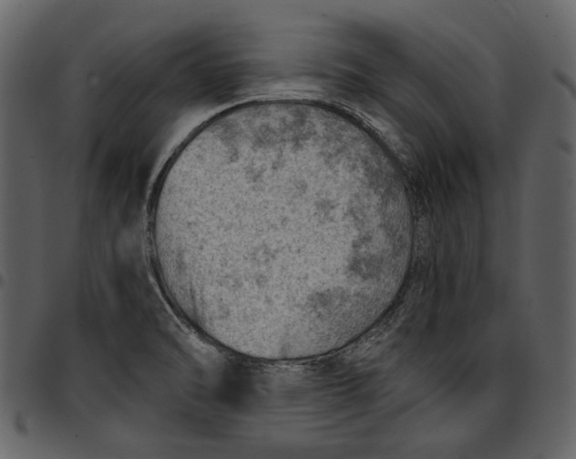 X0000096951470200802291045