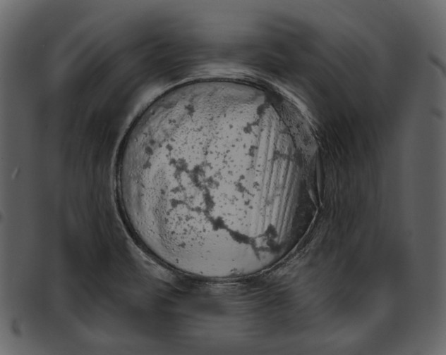 X0000096951471200802291045