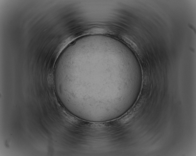 X0000096951473200802291045