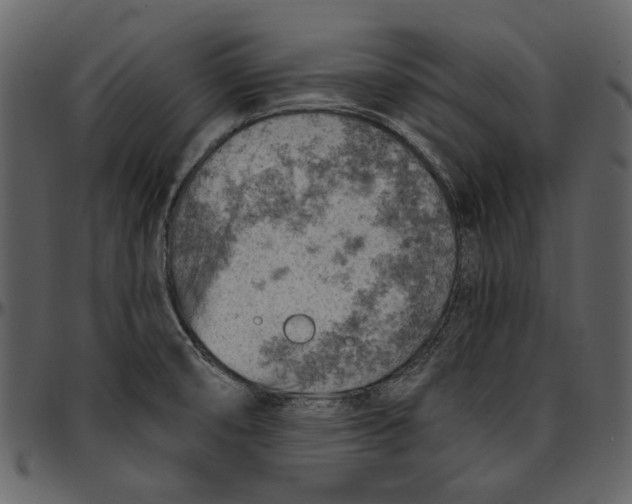 X0000096951474200802291045