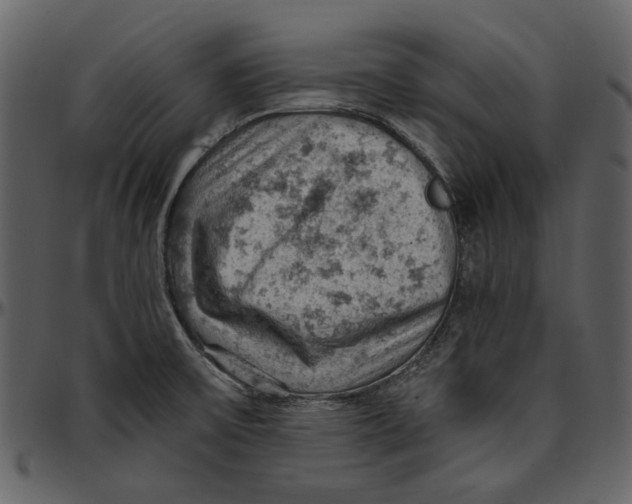 X0000096951475200802291045