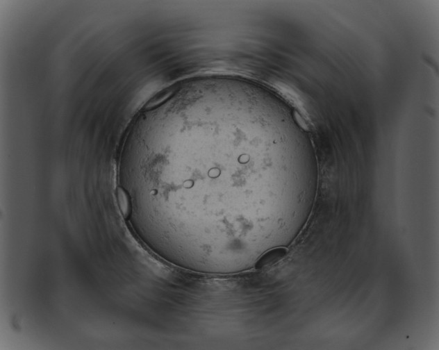 X0000096951476200802291045