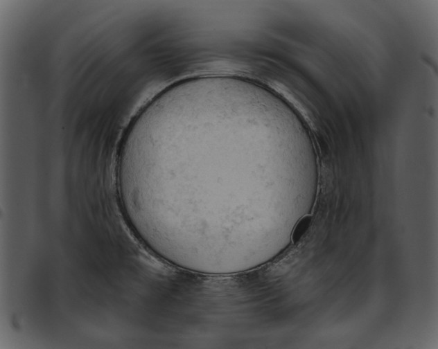 X0000096951477200802291045