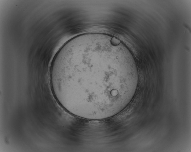 X0000096951478200802291045