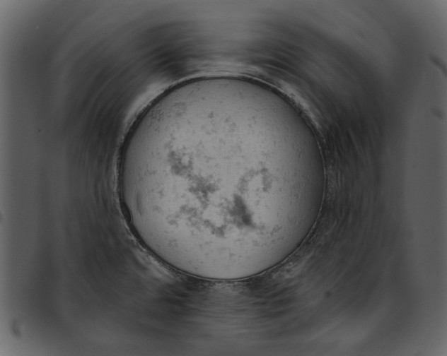 X0000096951480200802291044