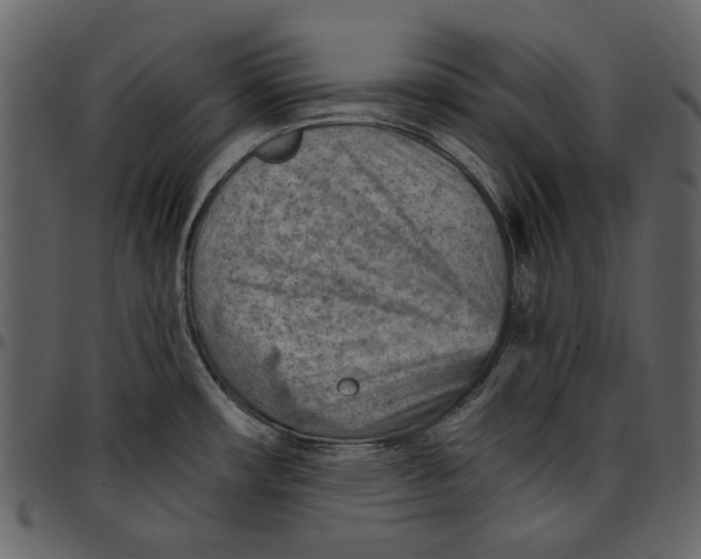 X0000096951482200802291044