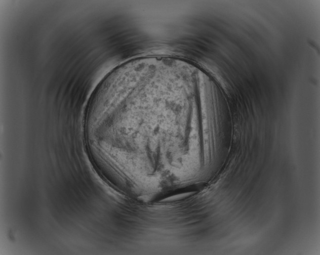 X0000096951483200802291044