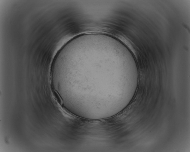 X0000096951485200802291044