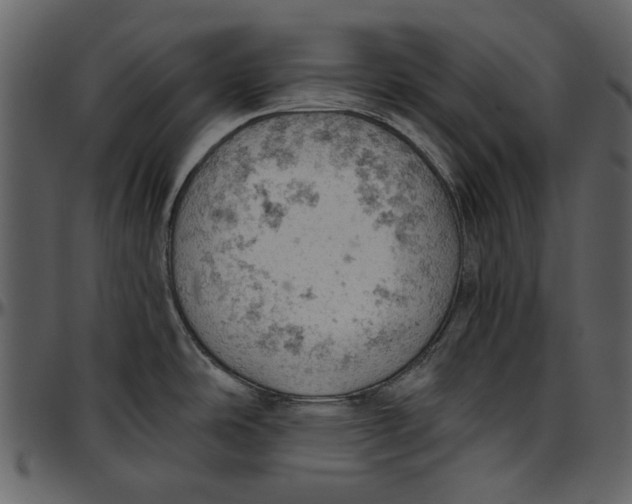 X0000096951486200802291044