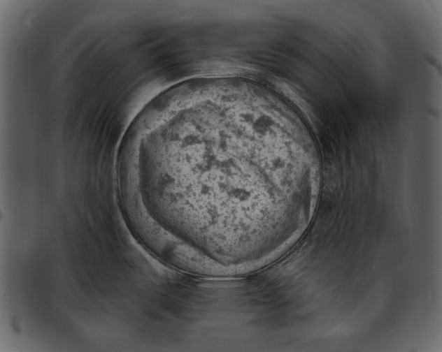 X0000096951487200802291044