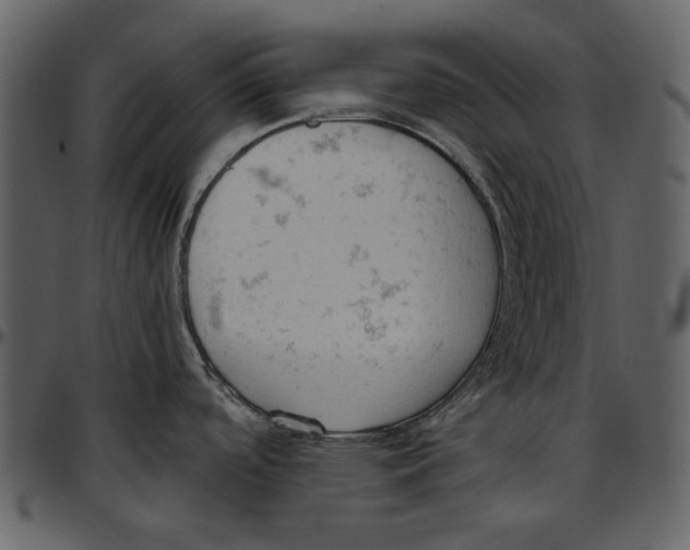 X0000096951488200802291044